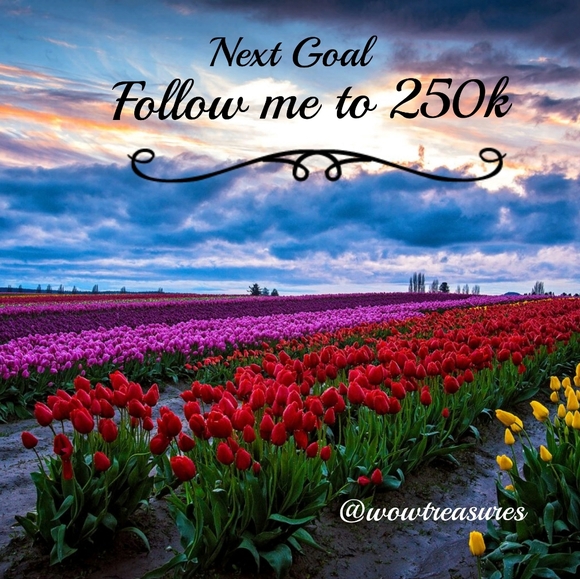 Follow Me to 250k! Thank You for Your Support! - Picture 10 of 12